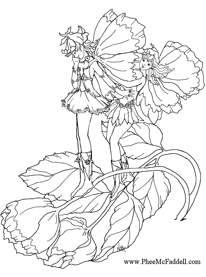 Fairy Gym www.pheemcfaddell.com
